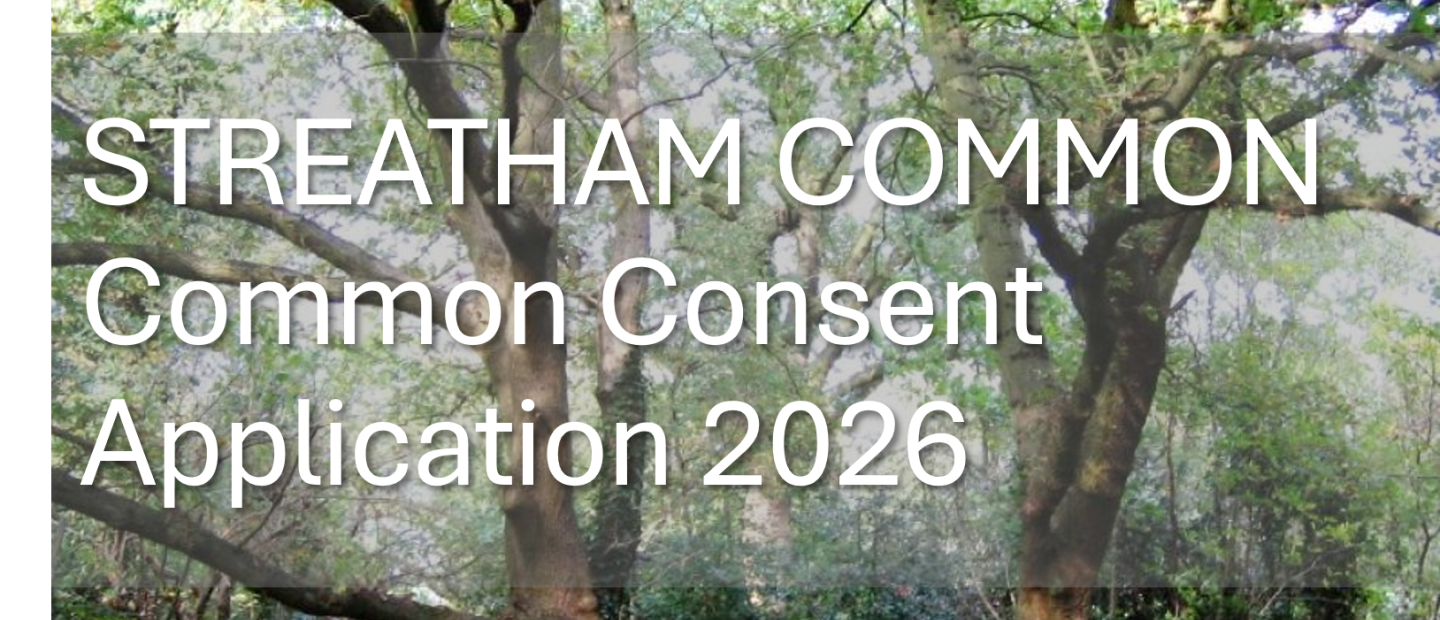 SC Common consent 2026