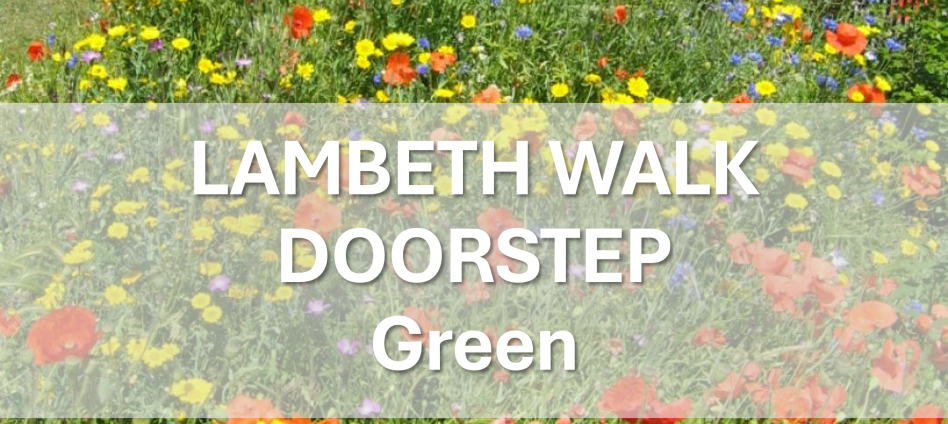 Lambeth Walk Doorstep Green PWT