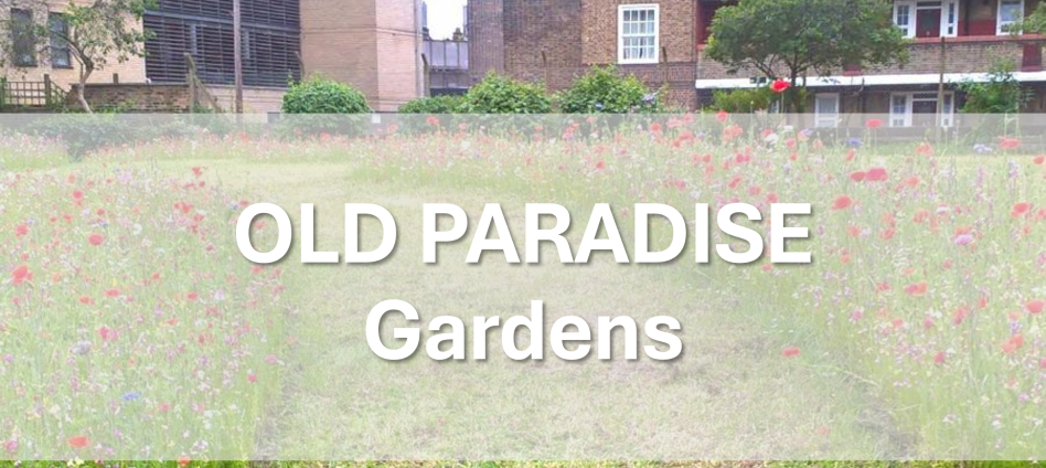 Old Paradise Gardens PWT