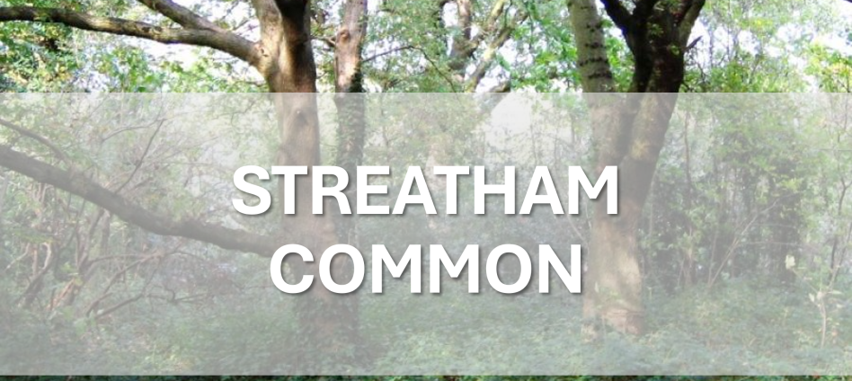 Streatham Common PWT