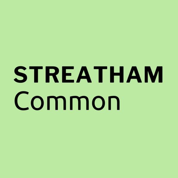 Streatham Common