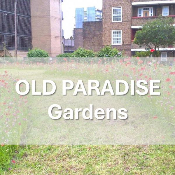 Old Paradise Gardens PWT