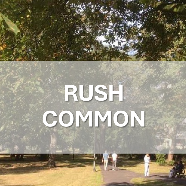 Rush Common PWT