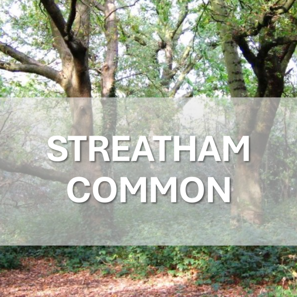 Streatham Common PWT