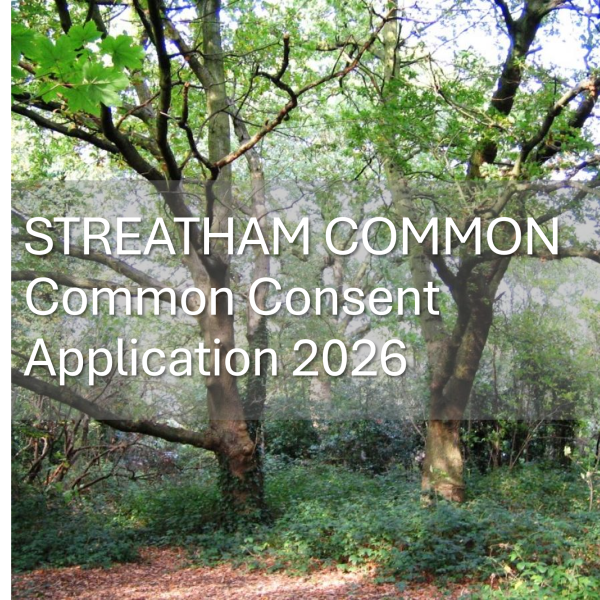 SC Common consent 2026