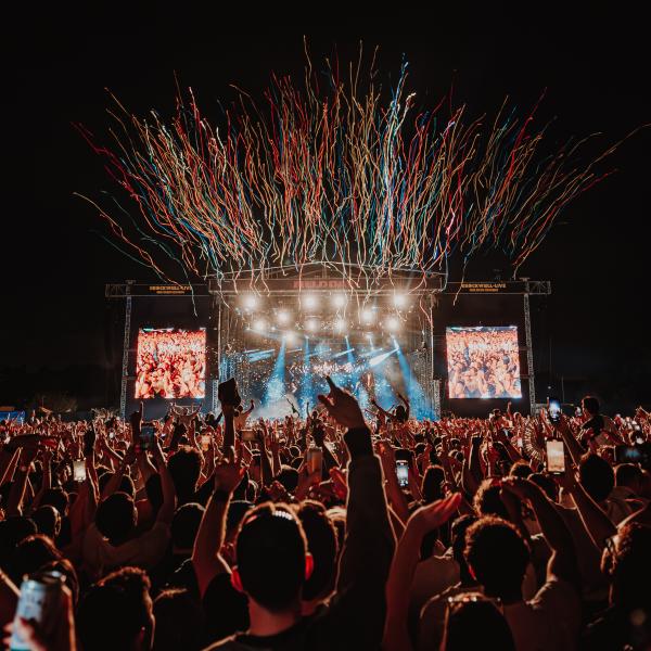 Brockwell Live Field Day